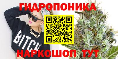 Альфа ПВП Тара