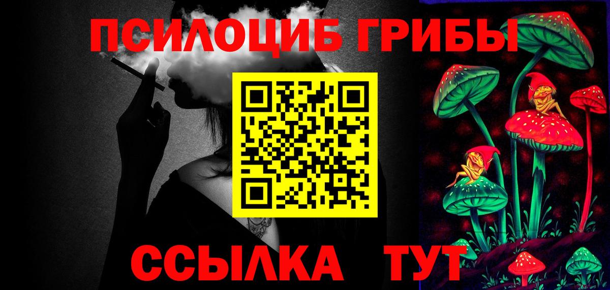 Галлюциногенные грибы Psilocybe Рузаевка